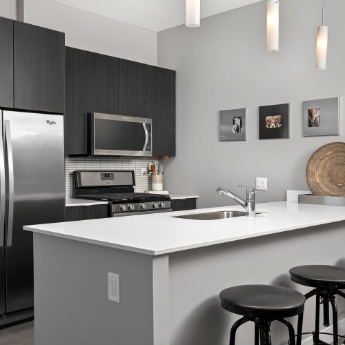 1000 South Clark Luxury Apartment Chicago