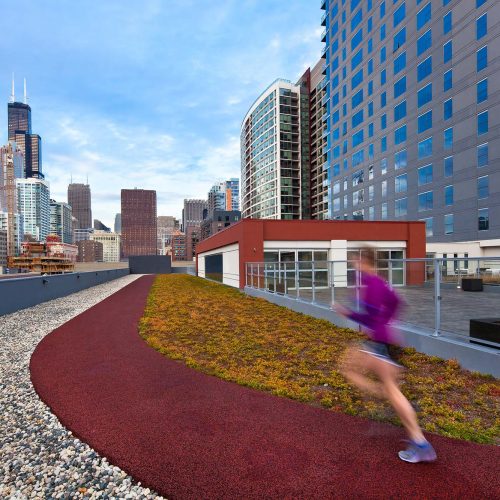 1000 South Clark Luxury Apartment Chicago